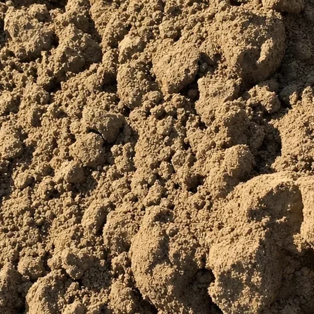 Fill Dirt