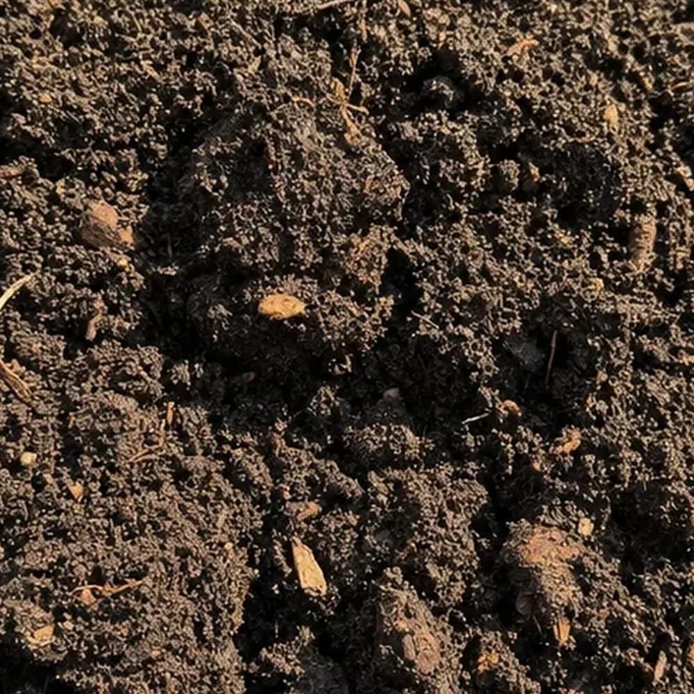 Garden Soil