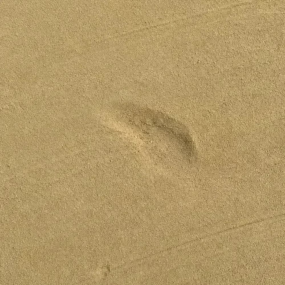 Masonry Sand