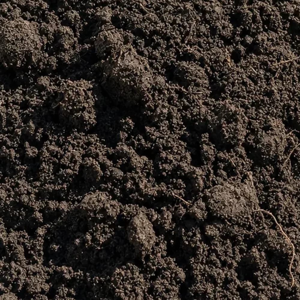 Top Soil
